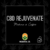 CBD Rejuvenate Tea